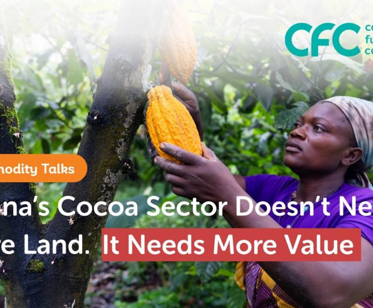Ghana_cocoa